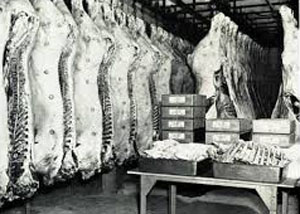 Meat carcases